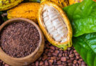 Kakao Dominikanische Republik
