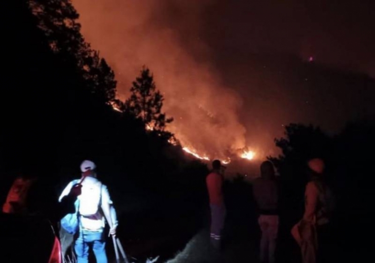 Erneut Waldbrände im Valle Nuevo